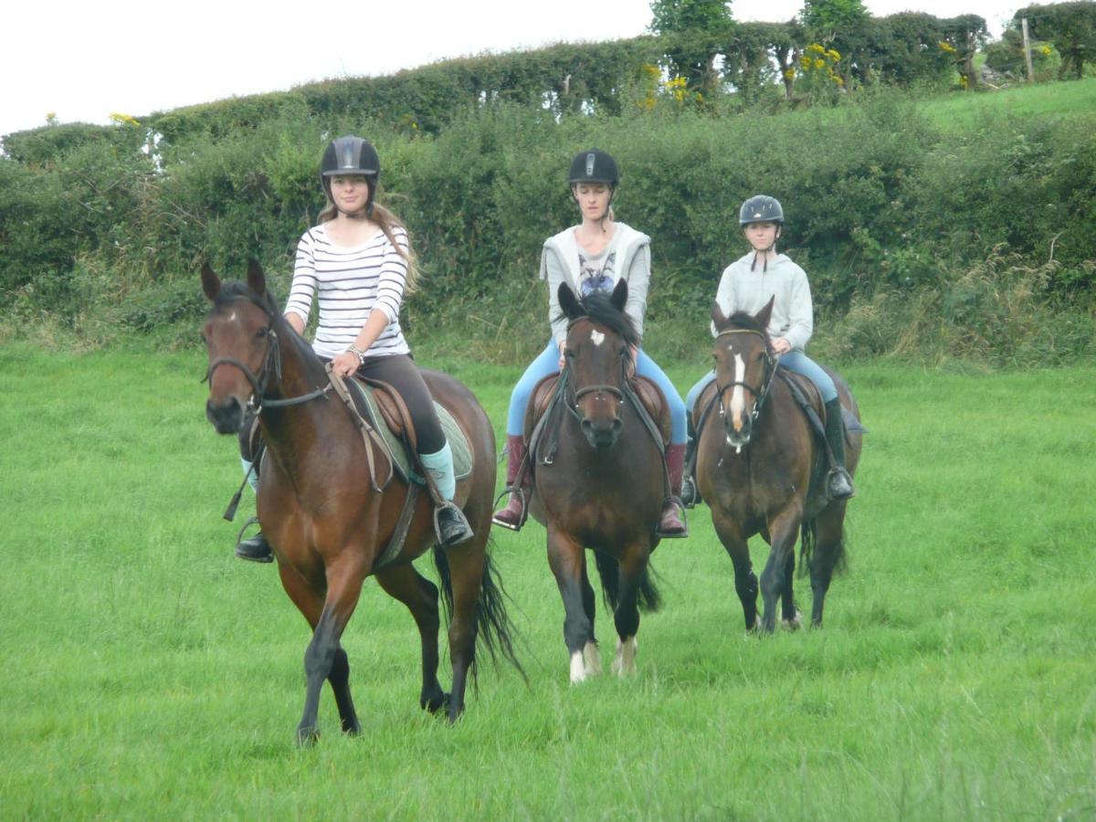 The Rock Equestrian Farm B&B Bailieborough Esterno foto