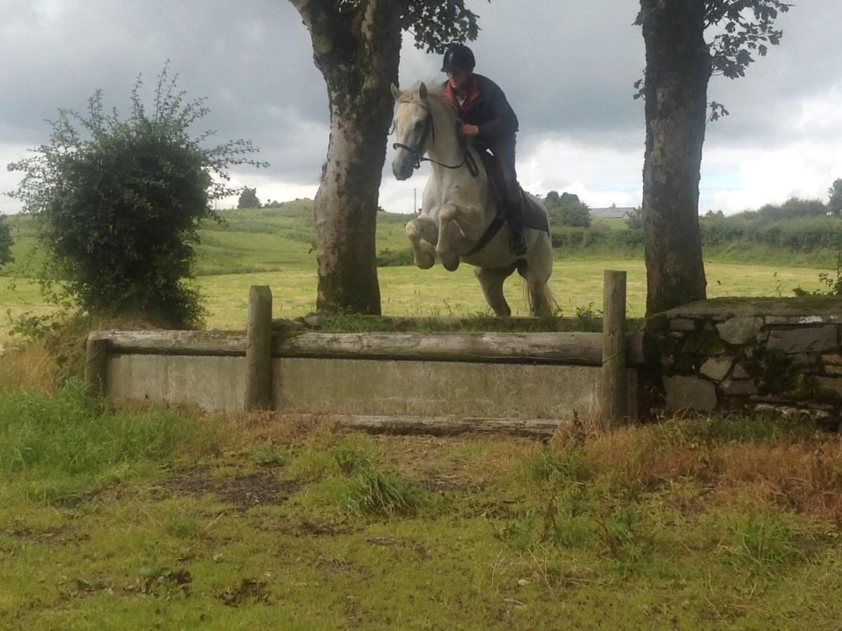 The Rock Equestrian Farm B&B Bailieborough Esterno foto